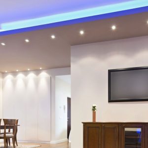 LED луничка 6W GU10 6500K Samsung чип VT-247D V-TAC | Rotozoom