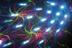 Мулти ефект Showtec X-Terminator | AVStore