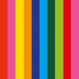 Handheld Confetti Cannon 50cm Showgear multicolor | Rotozoom