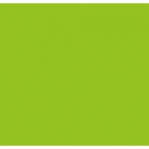 Конфети за машина Cannon Pro 80cm Showegear светлозелени | AVStore